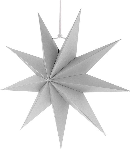 Weißer Weihnachtsstern